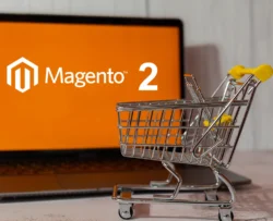 Por que o Magento 2 é a escolha certa para seu e-commerce